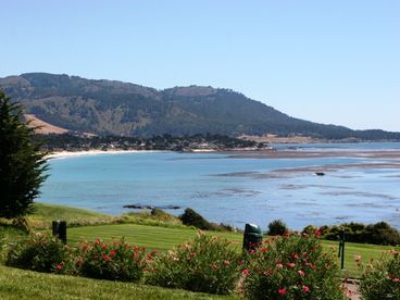 14th Tee