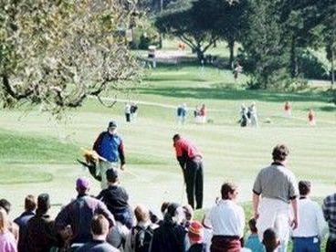 Tiger Woods