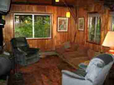 Living room area
