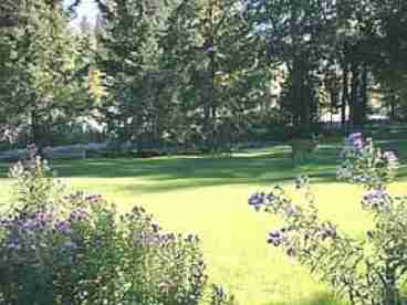 Front lawn