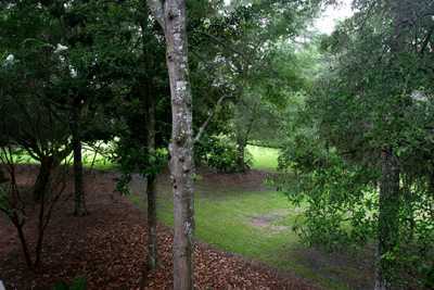View from 4526 Parkside
