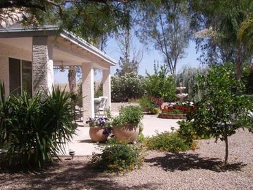 Our lovely back yard offers orange, lemon, lime and grapefruit trees, fountain, beautiful large flowering potted plants, palm trees and loads of flowering scrubs & outdoor lighting