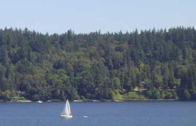 View of Bainbridge Island from deck