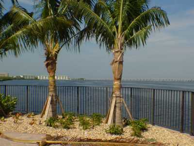 Outside view of condo and docks