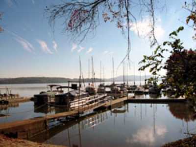 The Nearby Marina