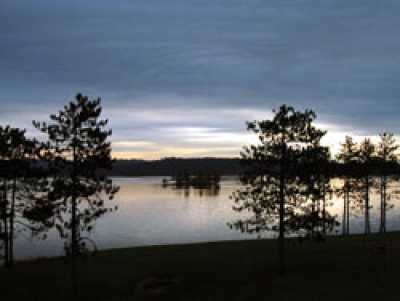 A View of Seneca Lake