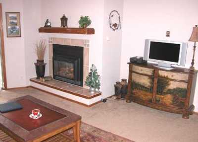 Fireplace in Living Room