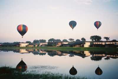 The lake in our backyard is host to balloons and all sorts of wildlife.