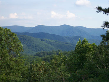 Oh, what a great year-round view - right from the large wrap-around 10 foot wide deck!