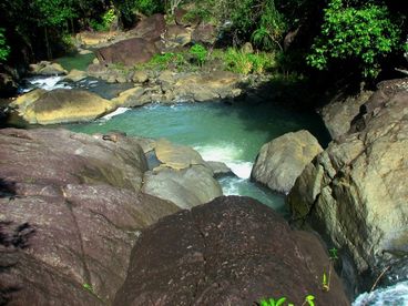 Natural swimming pools