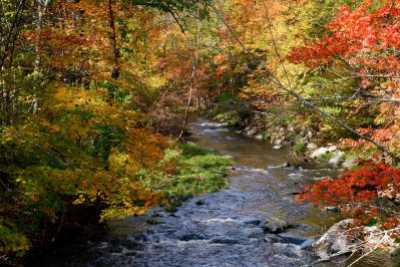 Autumn Creek
