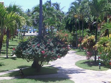 Cabarete Beach vacation rental condo in Dominican Republic, the Caribbean Paradise