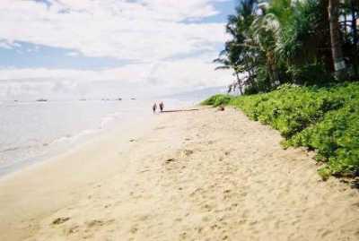 The Shimmering Sandy Beach awaits your daily stroll 