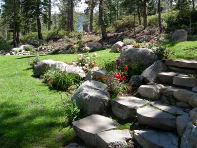landscaped yard bordering on Forest Service 
