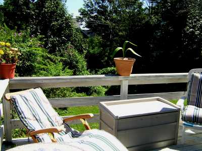 Deck and Private Backyard