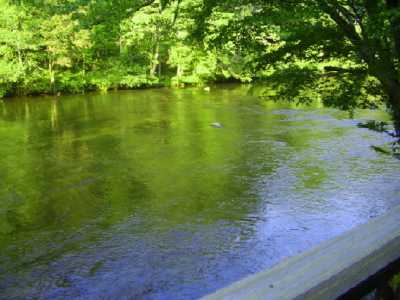 Riverfront Tellico Beach Cabin-Motorcycle & Fisherman Friendly