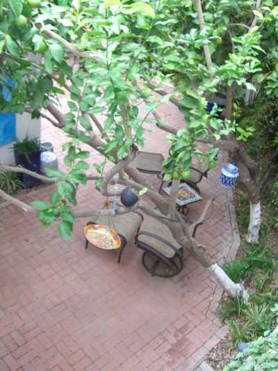 Photo 4