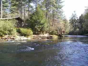 Back of Cabin