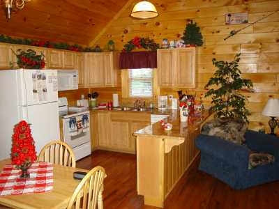 Photo 4