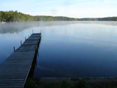 Cabin View