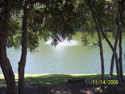 View from 2nd fl balcony