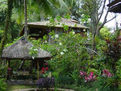 the main house