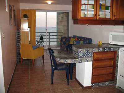 Kitchen/Living Area
