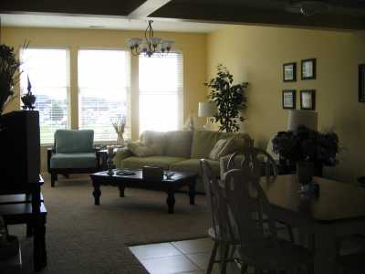 The sun filters in on this new living room.