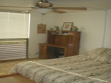 One of the downstairs bedrooms