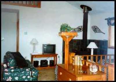 Cozy  Wood stove