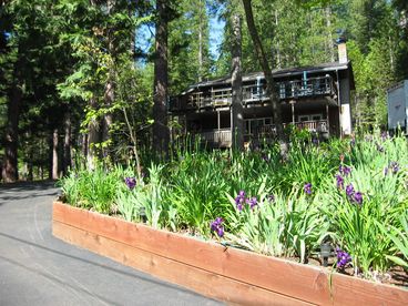 House in Spring