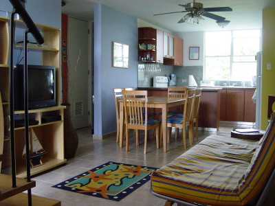 Living Room & Kitchen View