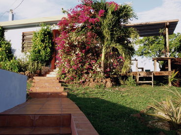 Set on a breezy hill, palms and flowering gardens surround the house