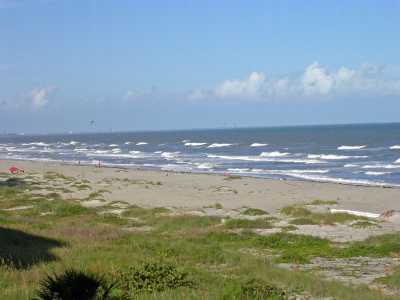Beach View North