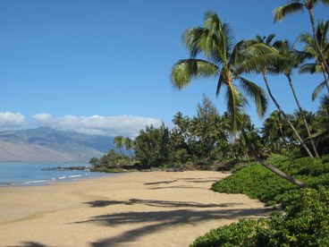 Our Beach!  Kamaole I