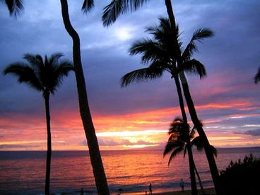DOLPHINS POINT MAUI