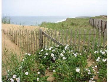 Cape Cod N.Truro