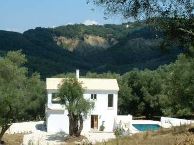 Nestled in the Olive Groves