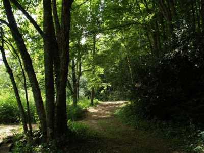 River Trail
