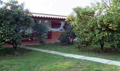Extensive lawned garden with fruit trees