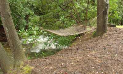 Relax by the Creek