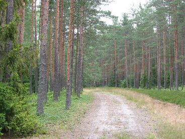 Kawbawgam Lake Driveway