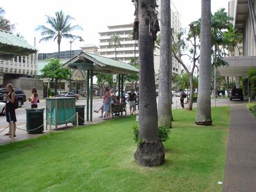 This bus stop is just outside the entrance to the Condo.