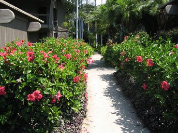 Entrance to condo