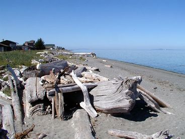Driftwood Forts