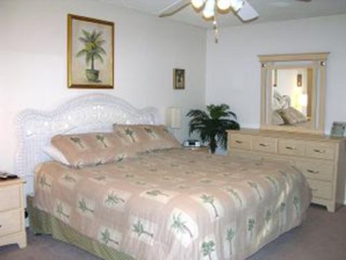 Large Master bedroom ~ Palm d�cor, with TV/DVR and two closets ~ 