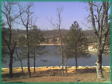 Forest Lake