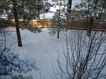 Fenced Back Yard