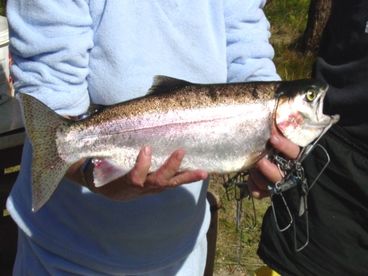 Finger Lake Wilderness Resort