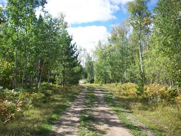 Entry Road